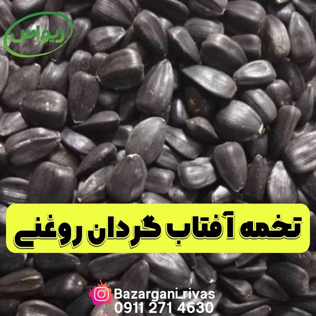 تخمه آفتابگردان روغنی، رنگ سیاه، دانه ریز