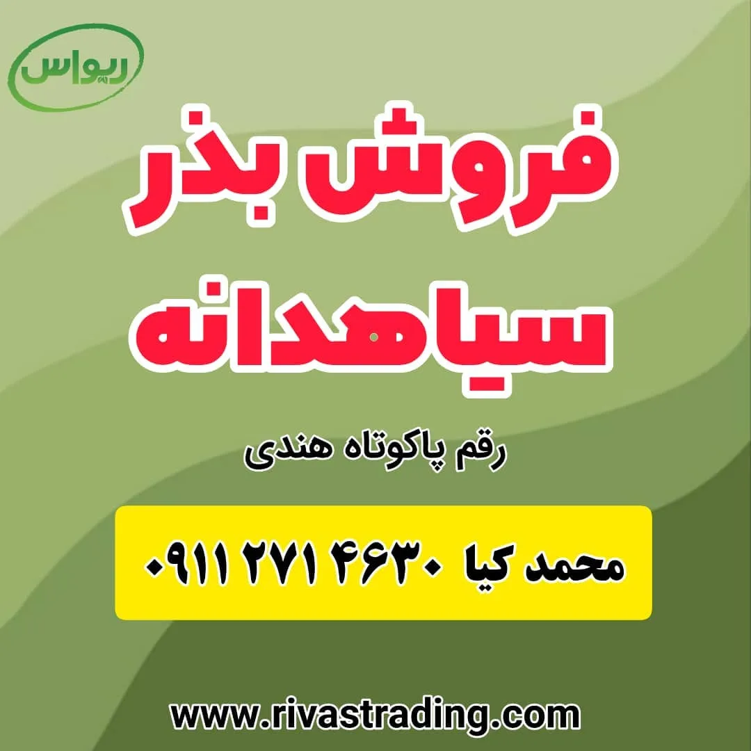 بذر سیاهدانه رقم هندی پاکوتاه، رنگ سبز، قرمز و زرد، پوستر تبلیغاتی