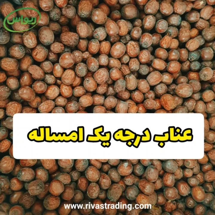 عناب اعلا بیرجند، رنگ قهوه‌ای و قرمز تیره، میوه خشک بیضی