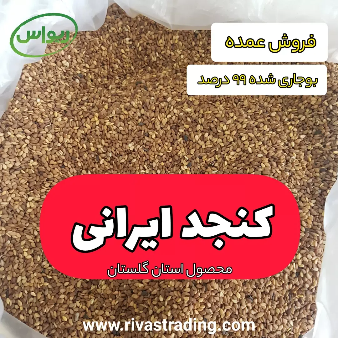 کنجد ایرانی بوجاری‌شده، رنگ قهوه‌ای روشن و طلایی، دانه ریز