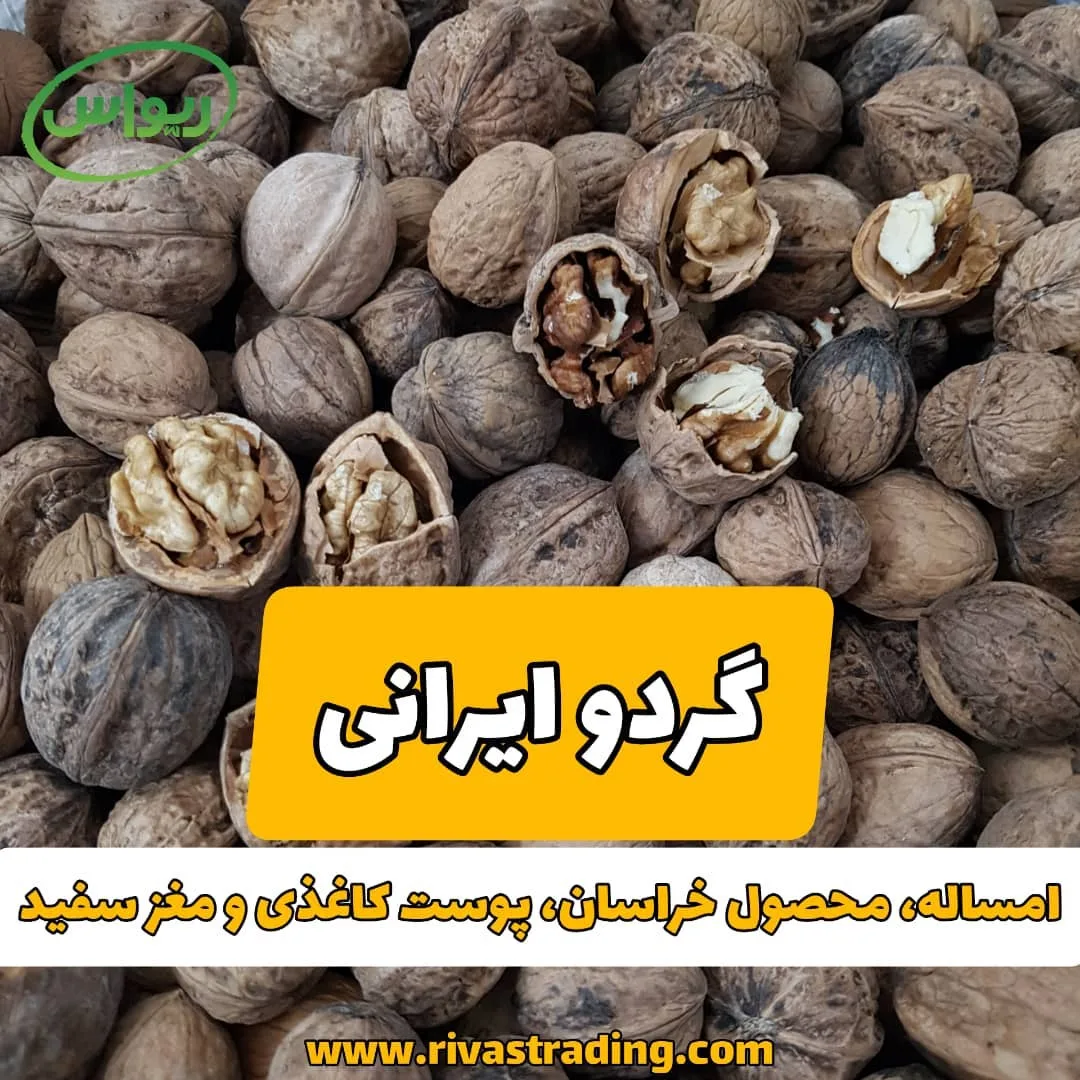 گردو ایرانی پوست کاغذی