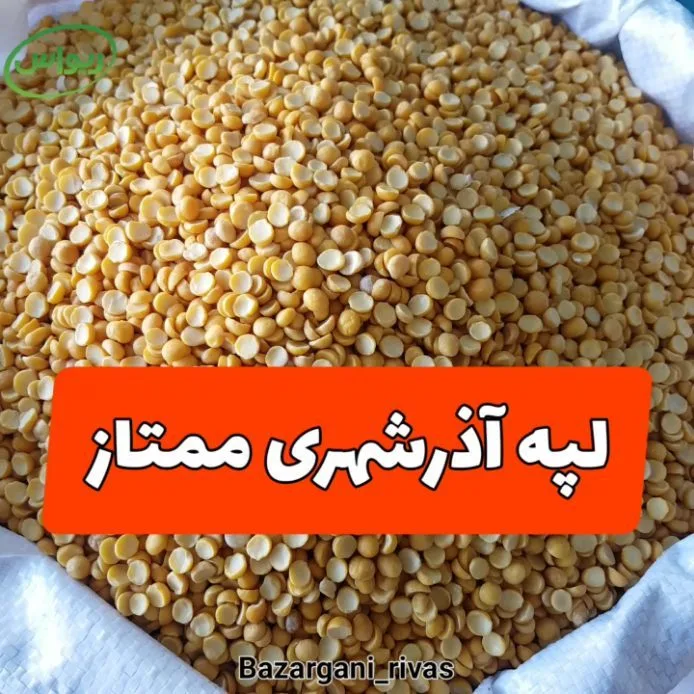 لپه آذرشهری ممتاز، رنگ زرد، دانه گرد