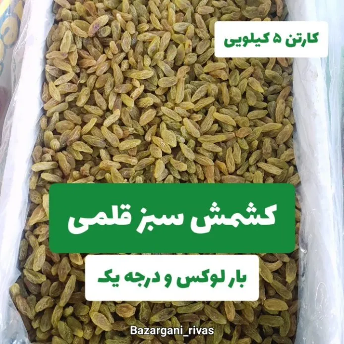 کشمش سبز قلمی، رنگ سبز زیتونی، خشک شده