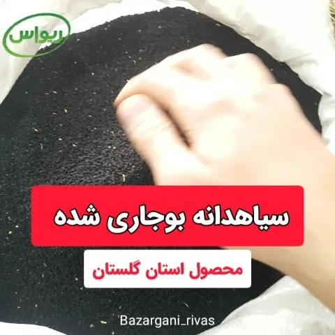 سیاهدانه بوجاریشده