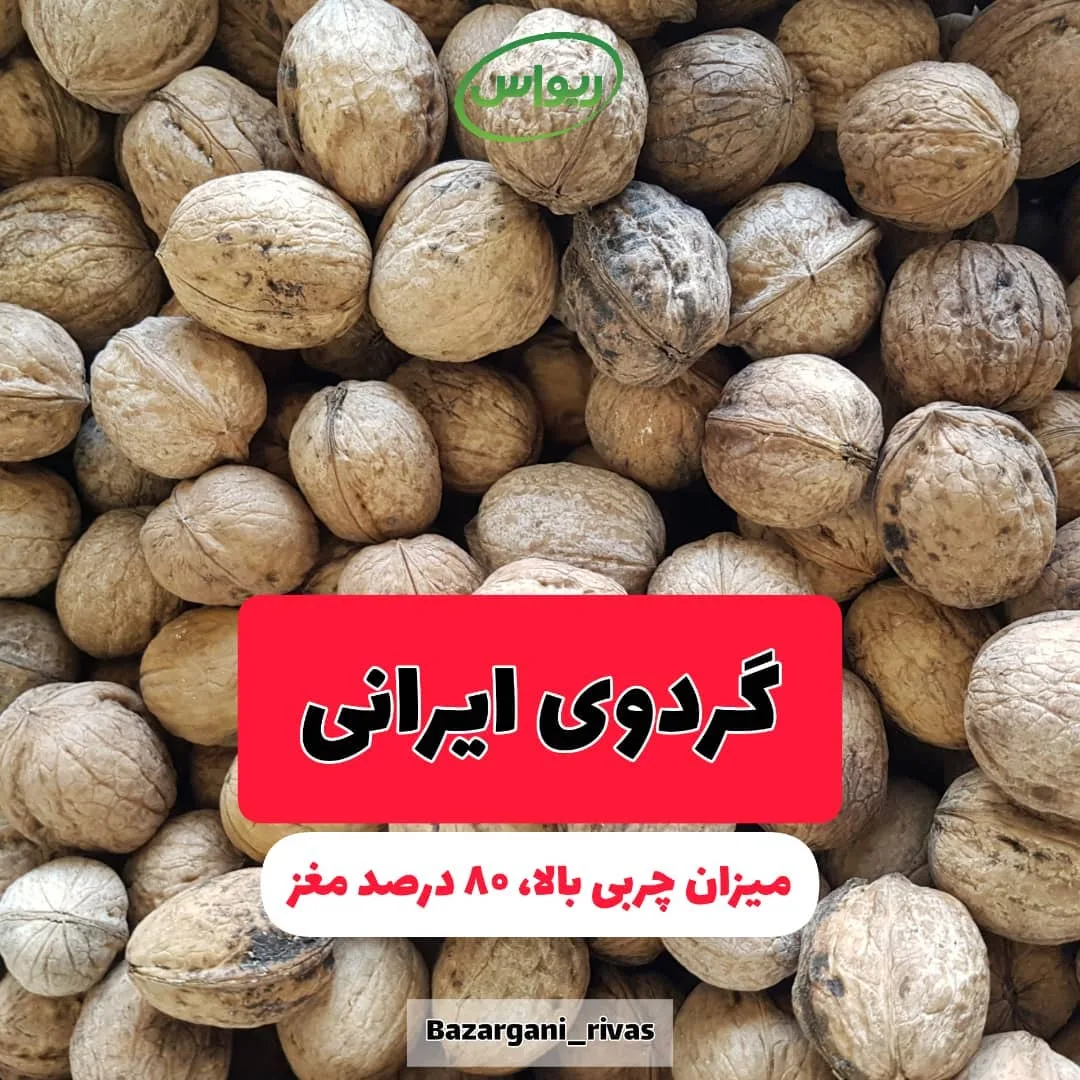 گردوی ایرانی دماوند