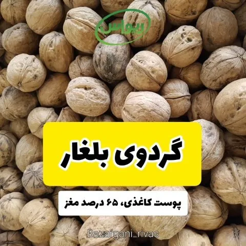 گردوی سوپر لوکس بلغار