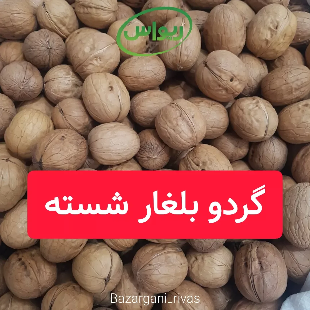 گردو بلغار شسته