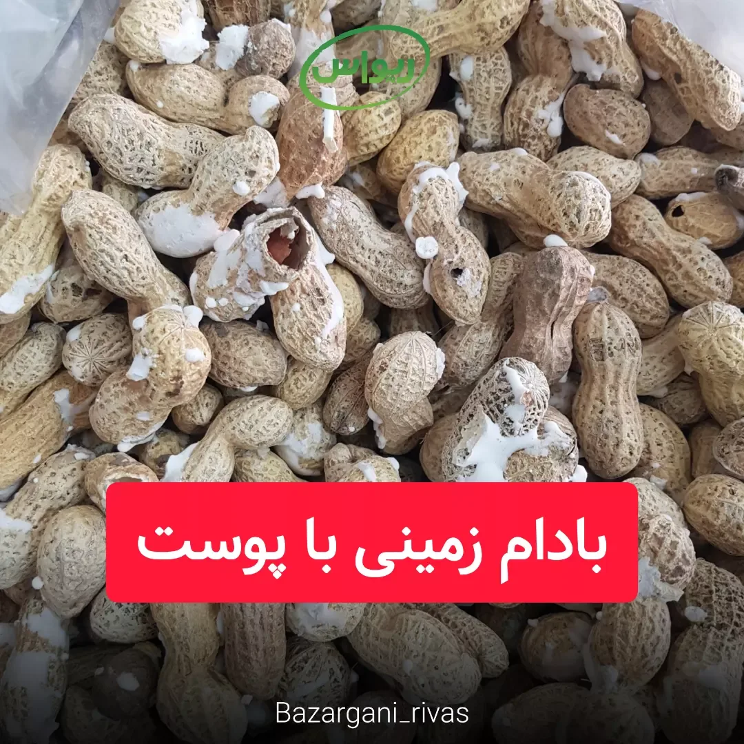 بادام زمینی با پوست