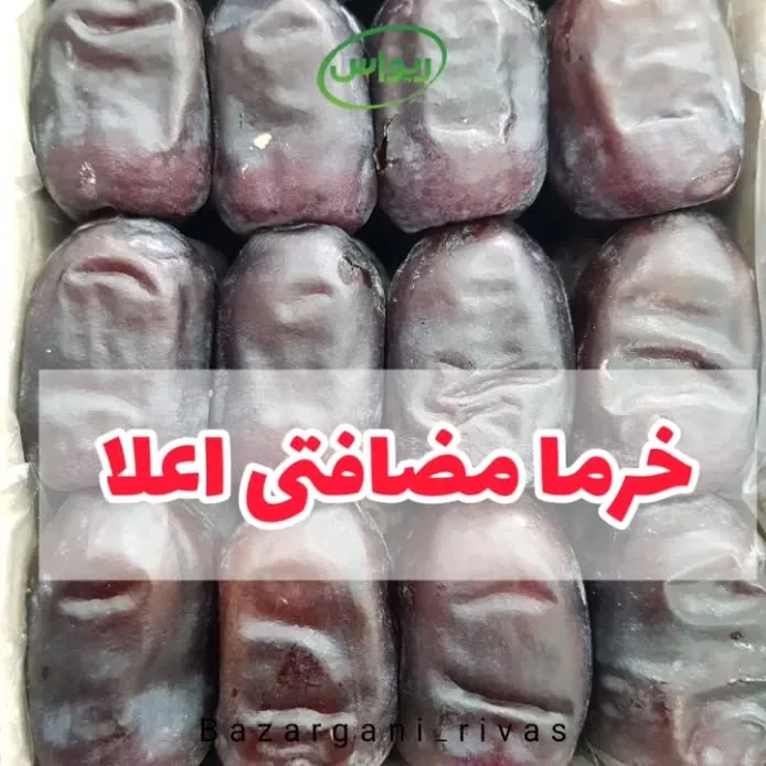 خرما رطب مضافتی