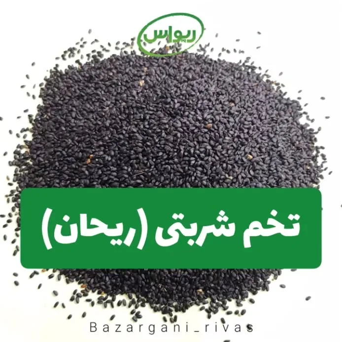 تخم شربتی ریحان