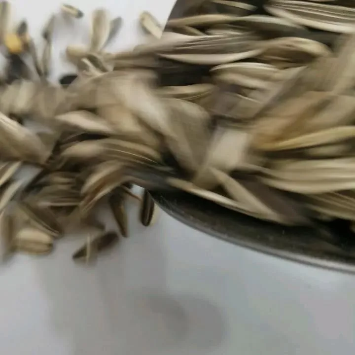 بذر تخمه آفتابگردان دور سفید، رنگ خاکستری، دانه
