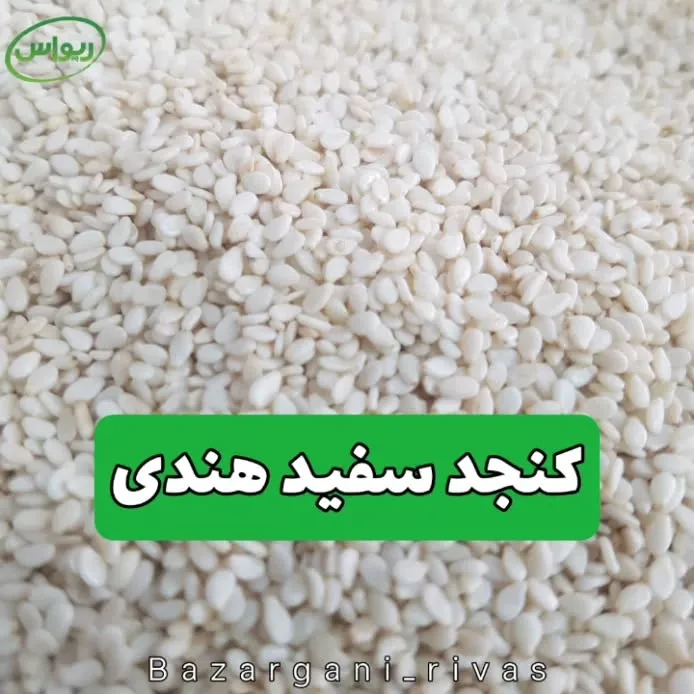 کنجد سفید هندی، دانه