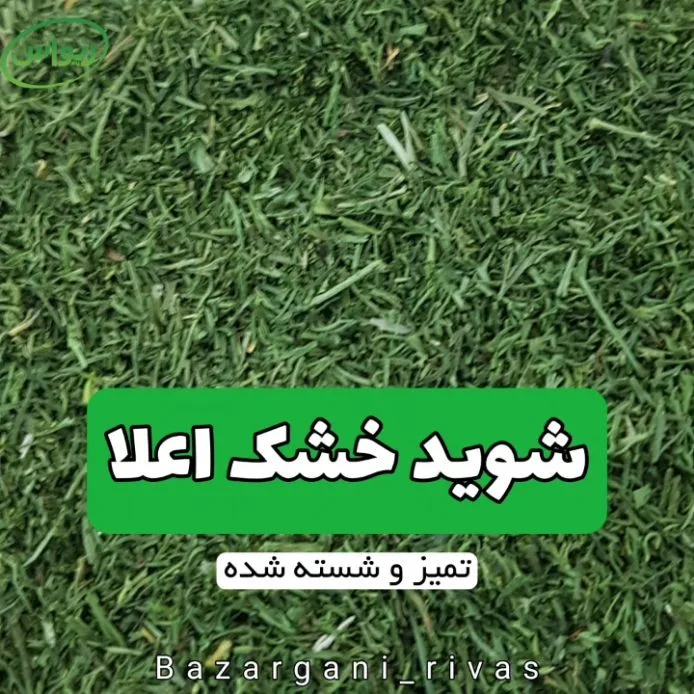 شوید خشک صادراتی، رنگ سبز، خرد شده