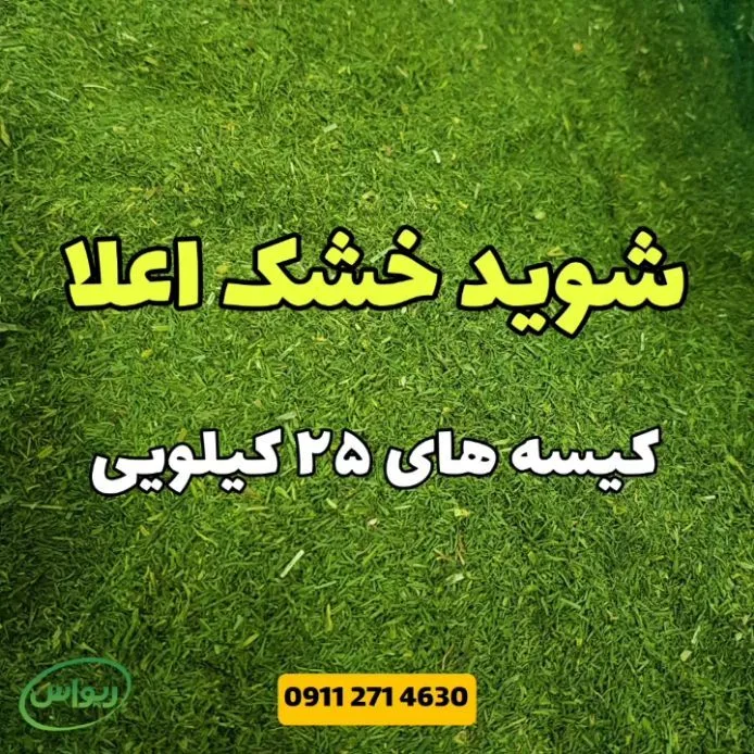 شوید خشک درجه یک، رنگ سبز، خشک خرد شده
