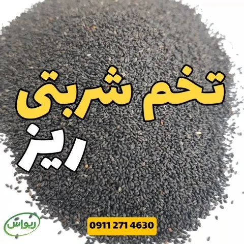 تخم شربتی ریز، رنگ سیاه، دانه ریز
