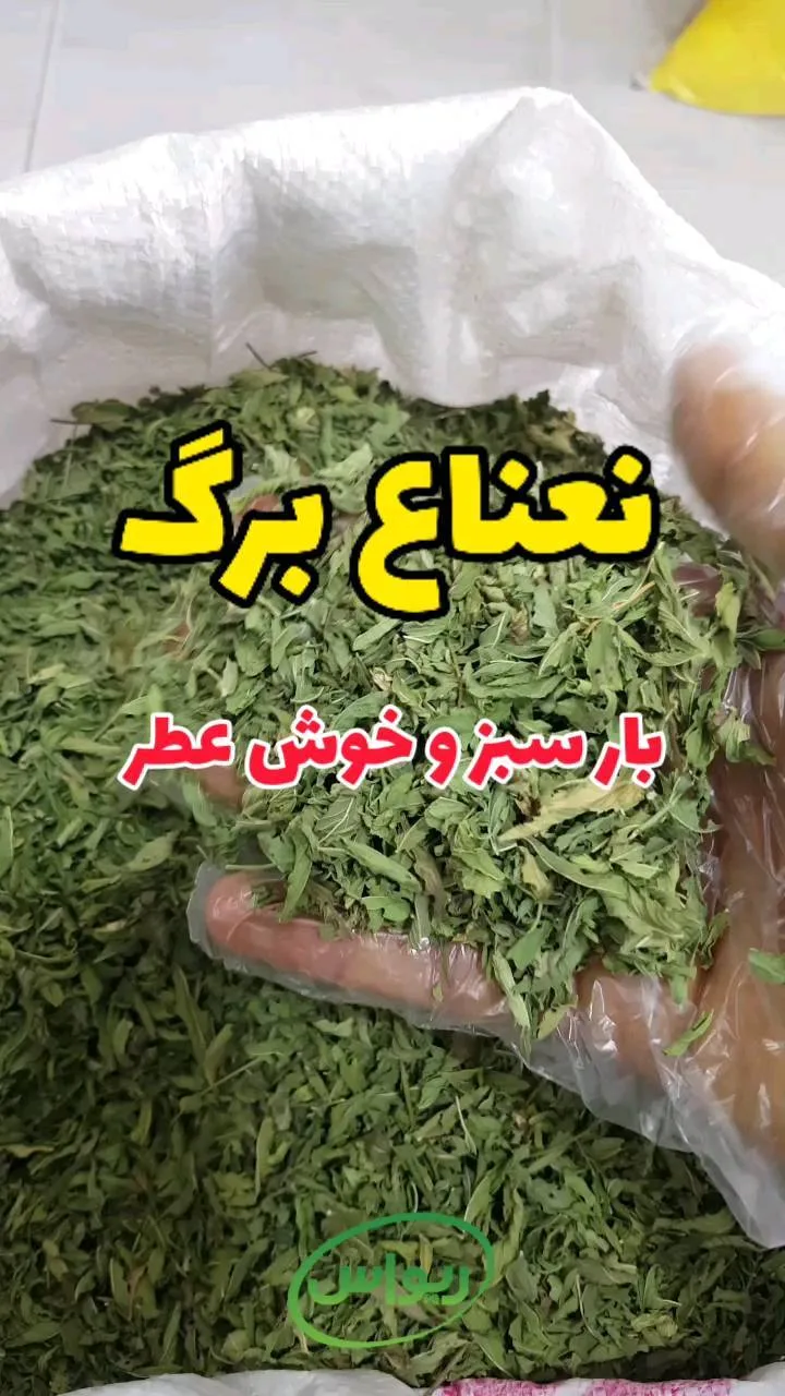 نعناع برگ، رنگ سبز، برگ خشک