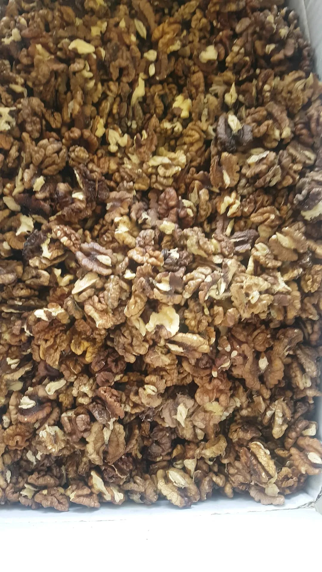 مغز گردوی فسنجونی تویسرکان
