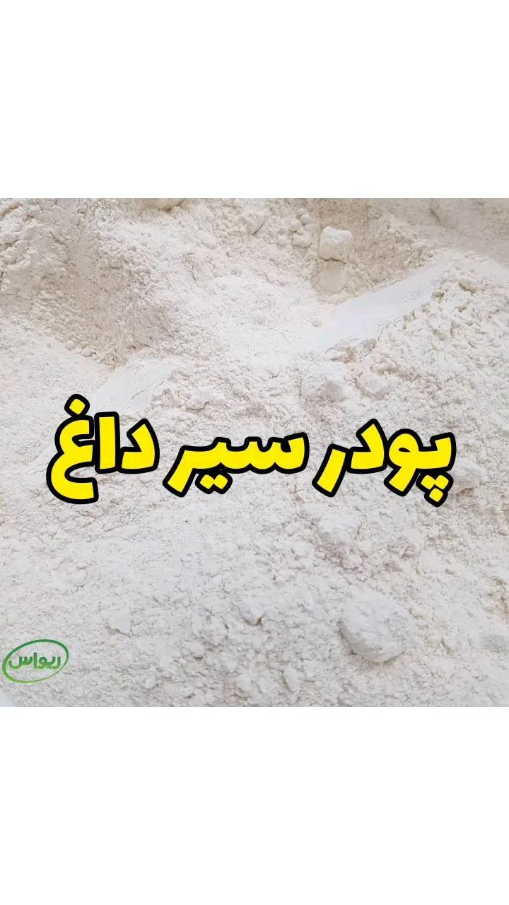 پودر سیر همدان