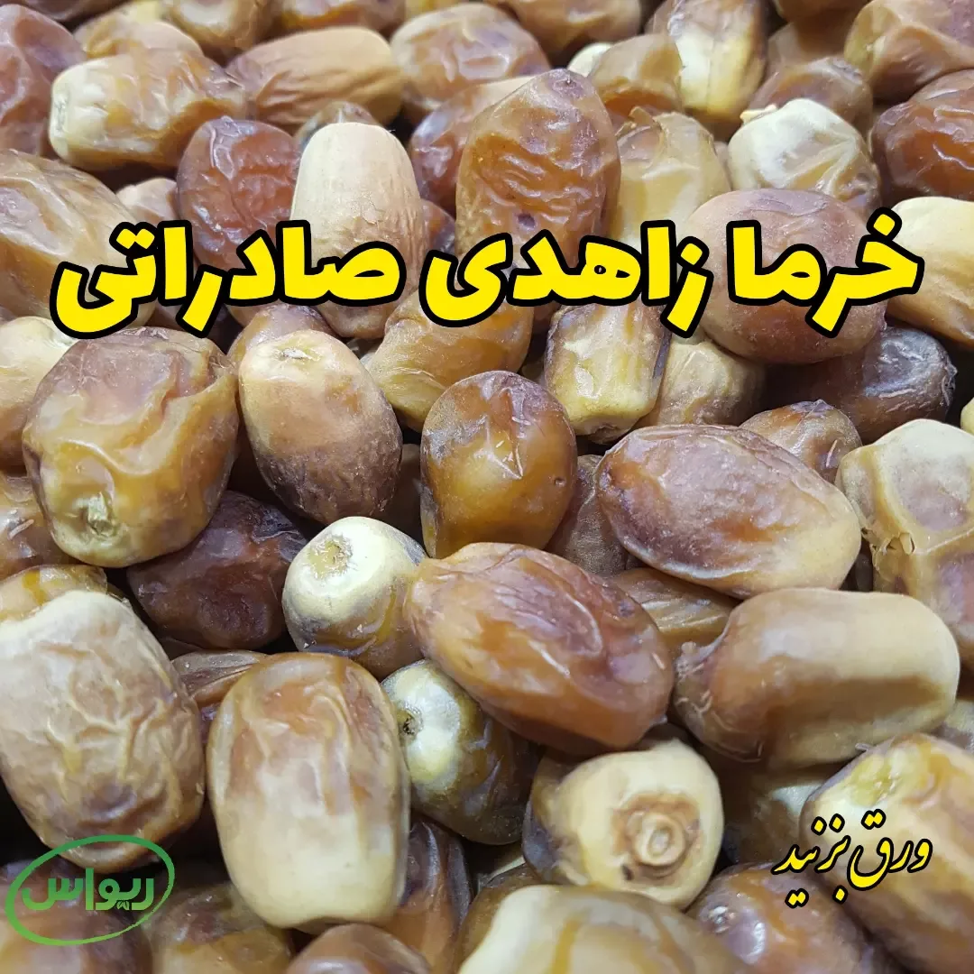 خرما ربی لوکس — عکس ۲