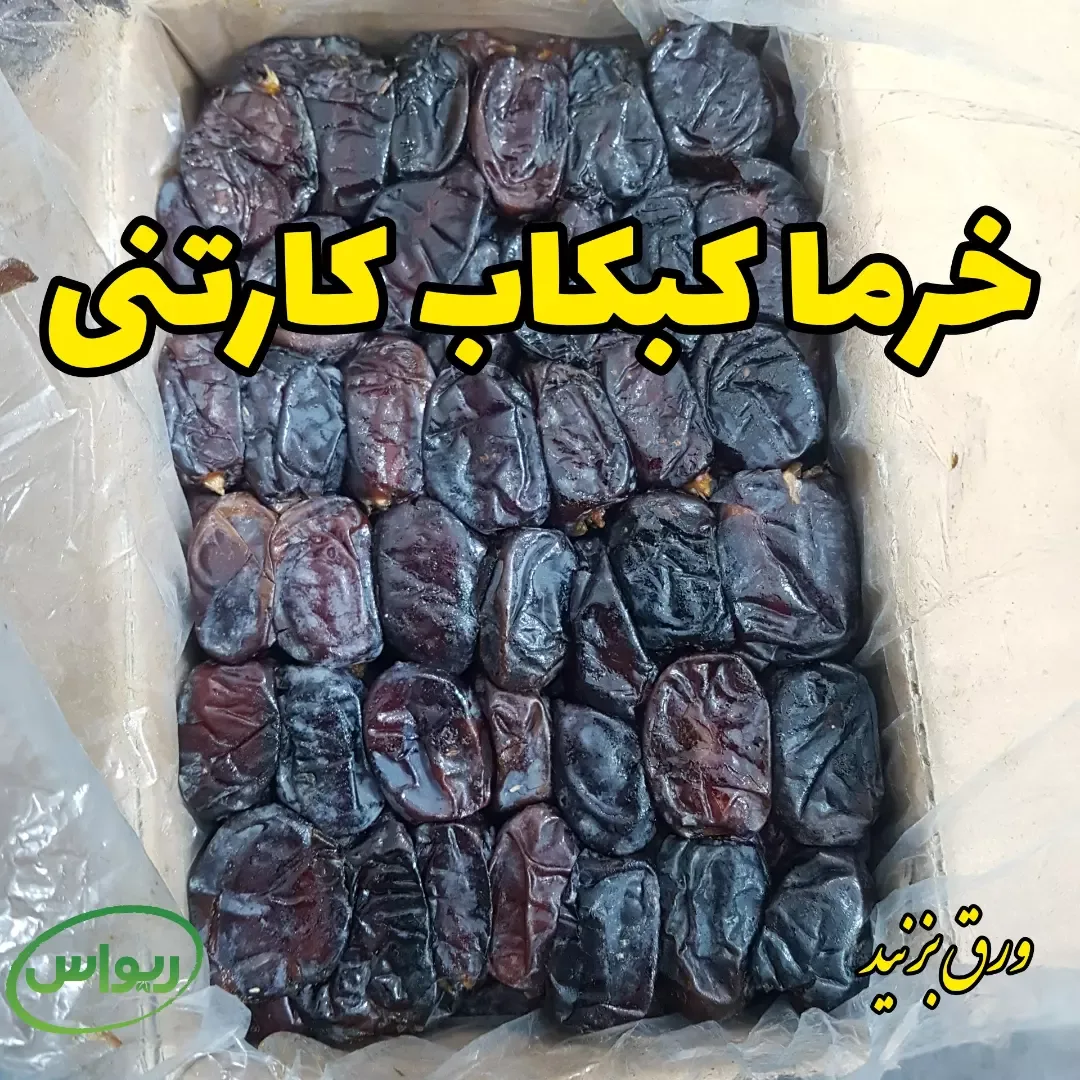 خرما ربی لوکس — عکس ۴
