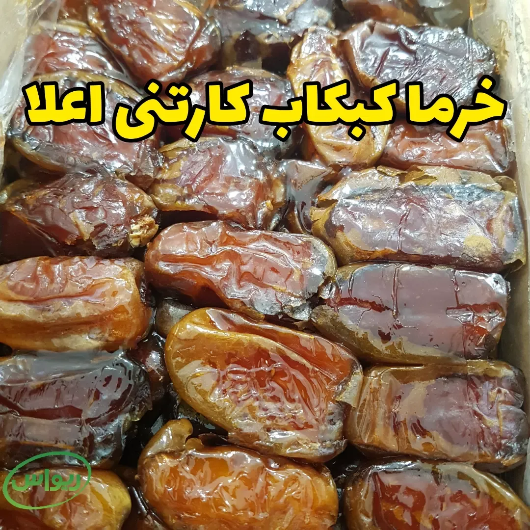 خرما ربی لوکس — عکس ۵