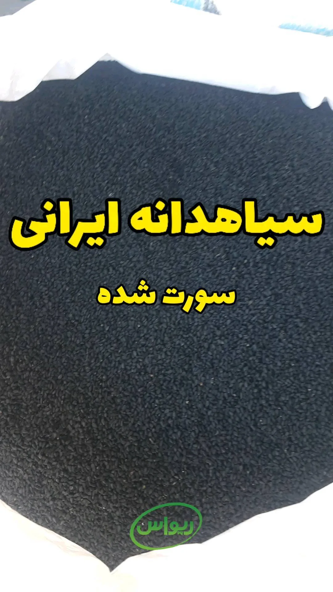 سیاهدانه ایرانی سورتشده، رنگ مشکی