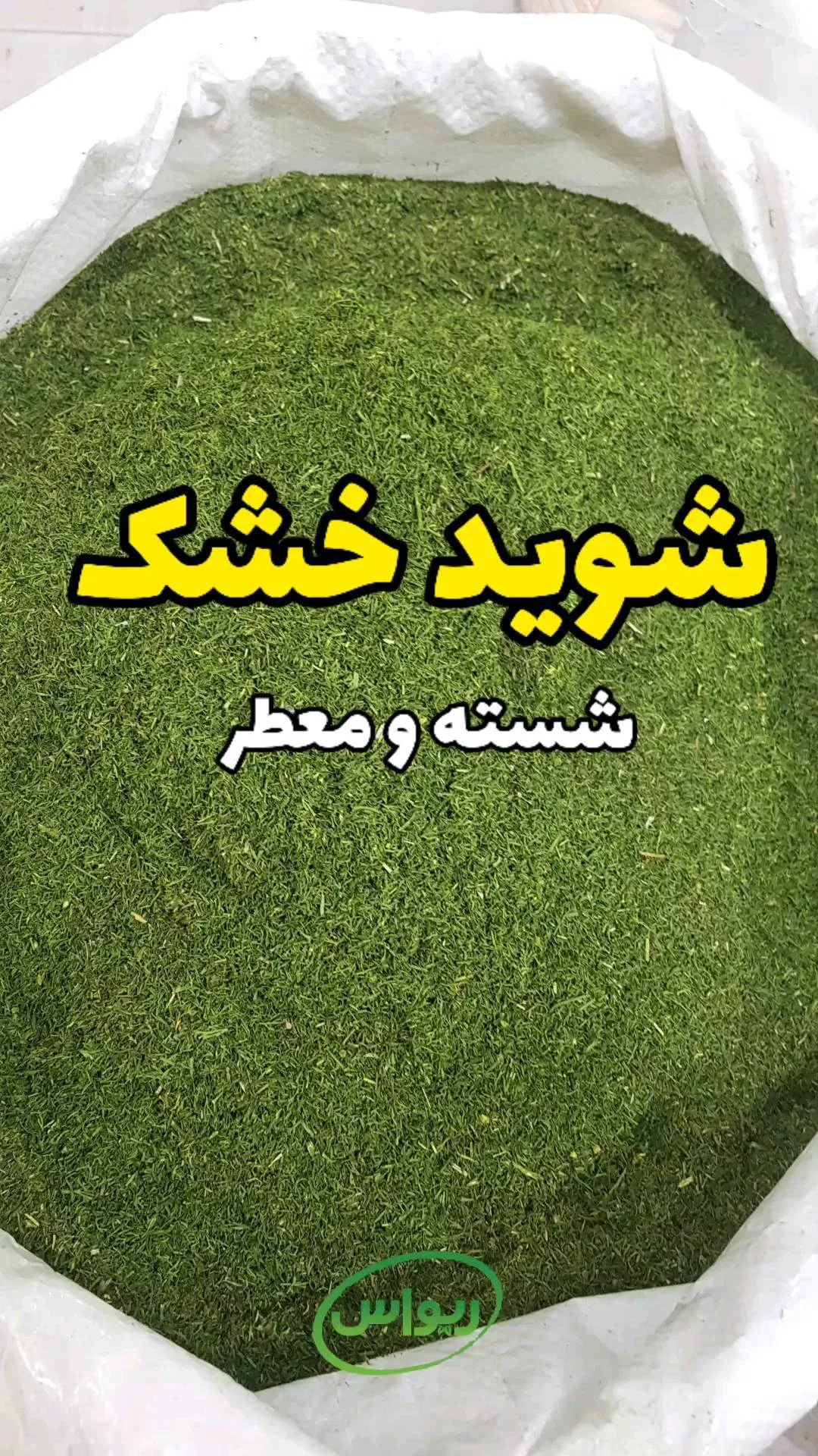 شوید خشک شسته و معطر، رنگ سبز، گیاه خشک