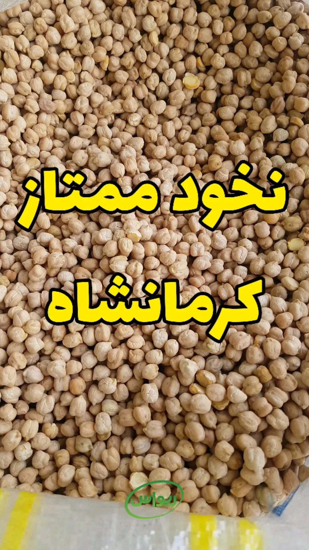 نخود ممتاز کرمانشاه، دانه