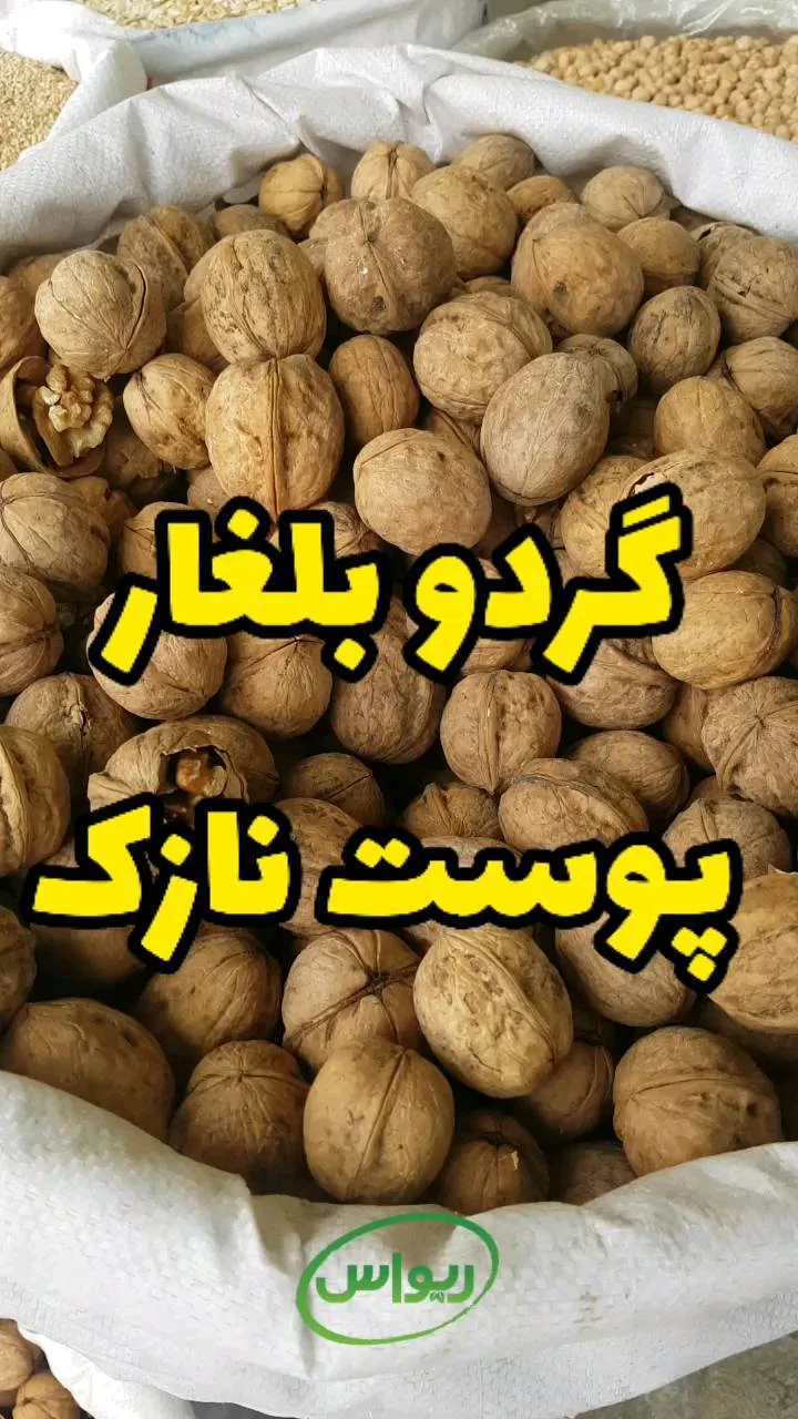 گردو بلغار پوست کاغذی
