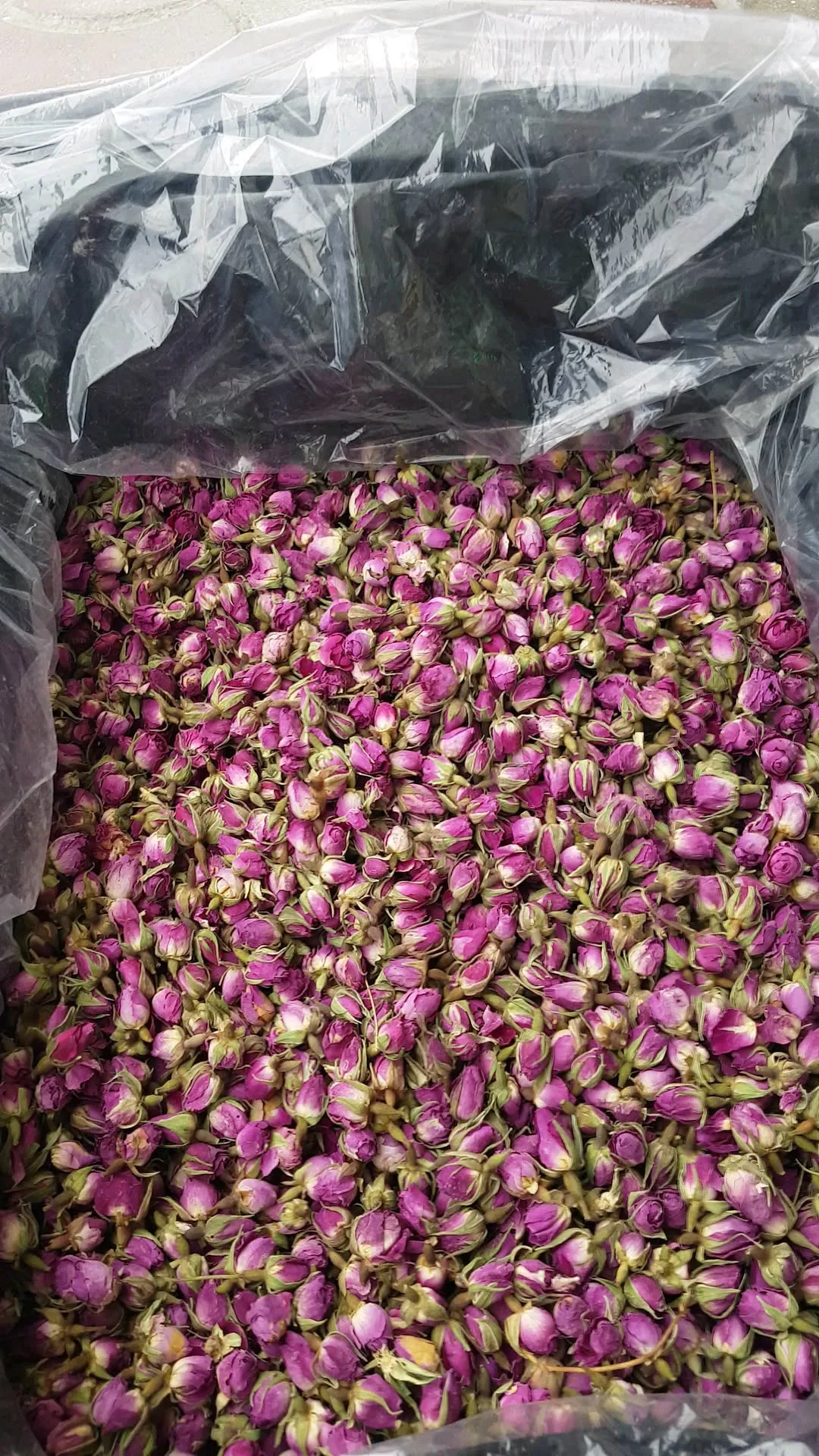 غنچه گل محمدی لاله‌زار کارتن ۷ کیلویی، رنگ صورتی، ارغوانی و سبز، گلبرگ خشک