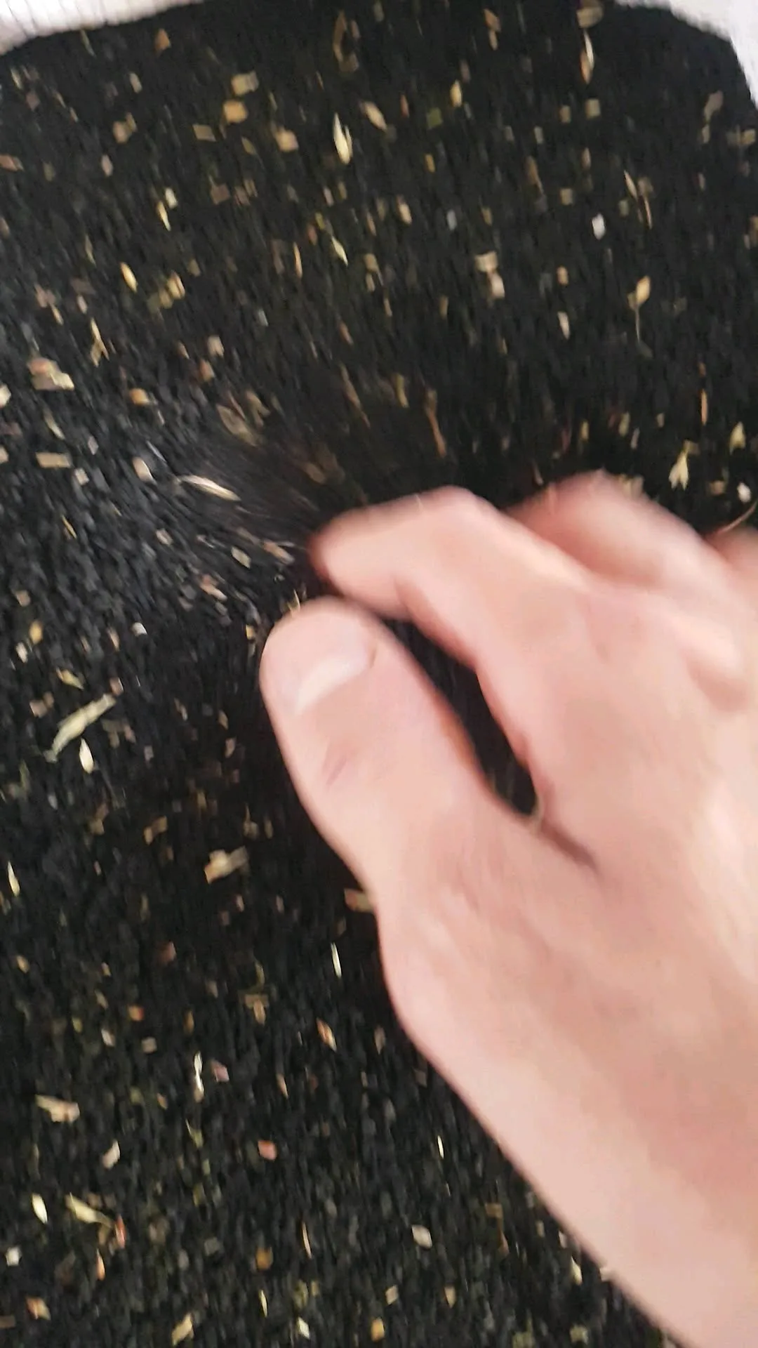 سیاهدانه بوجارشده
