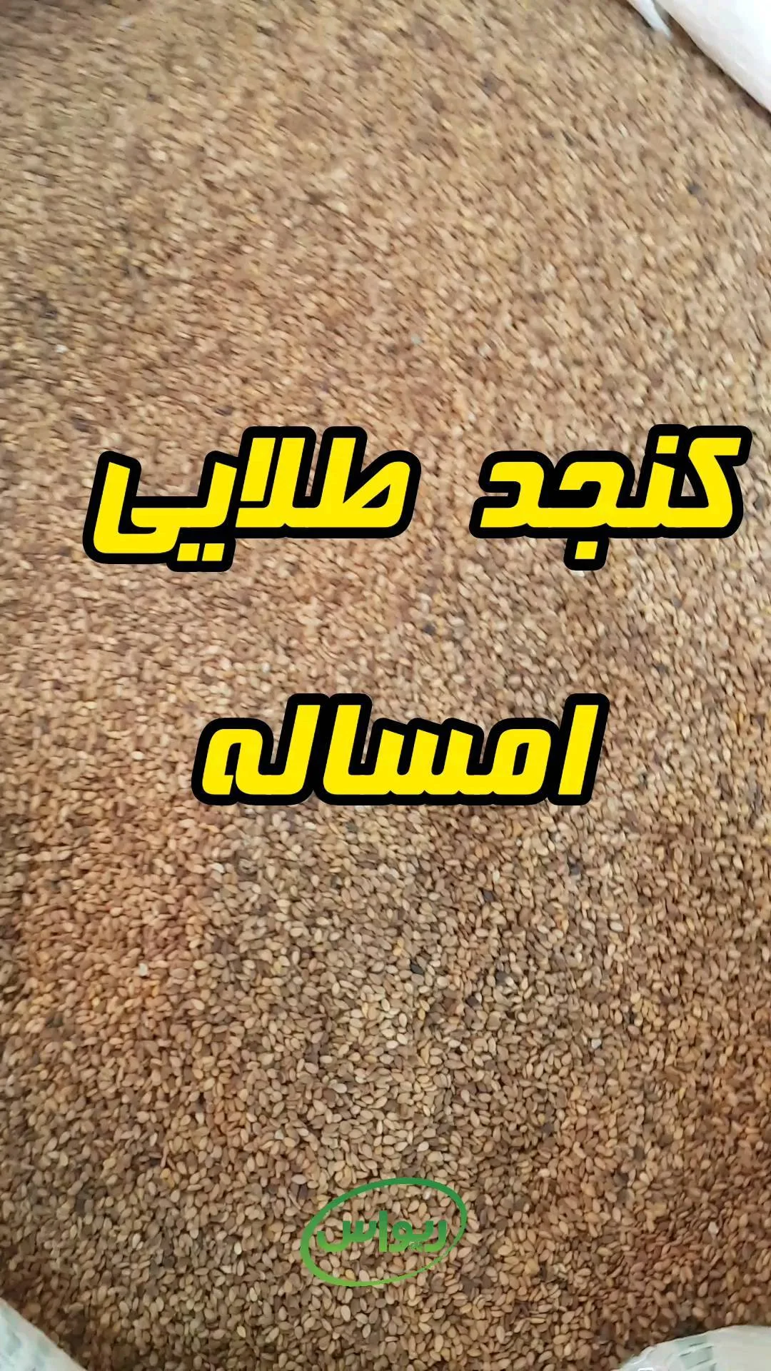 کنجد طلایی محلی