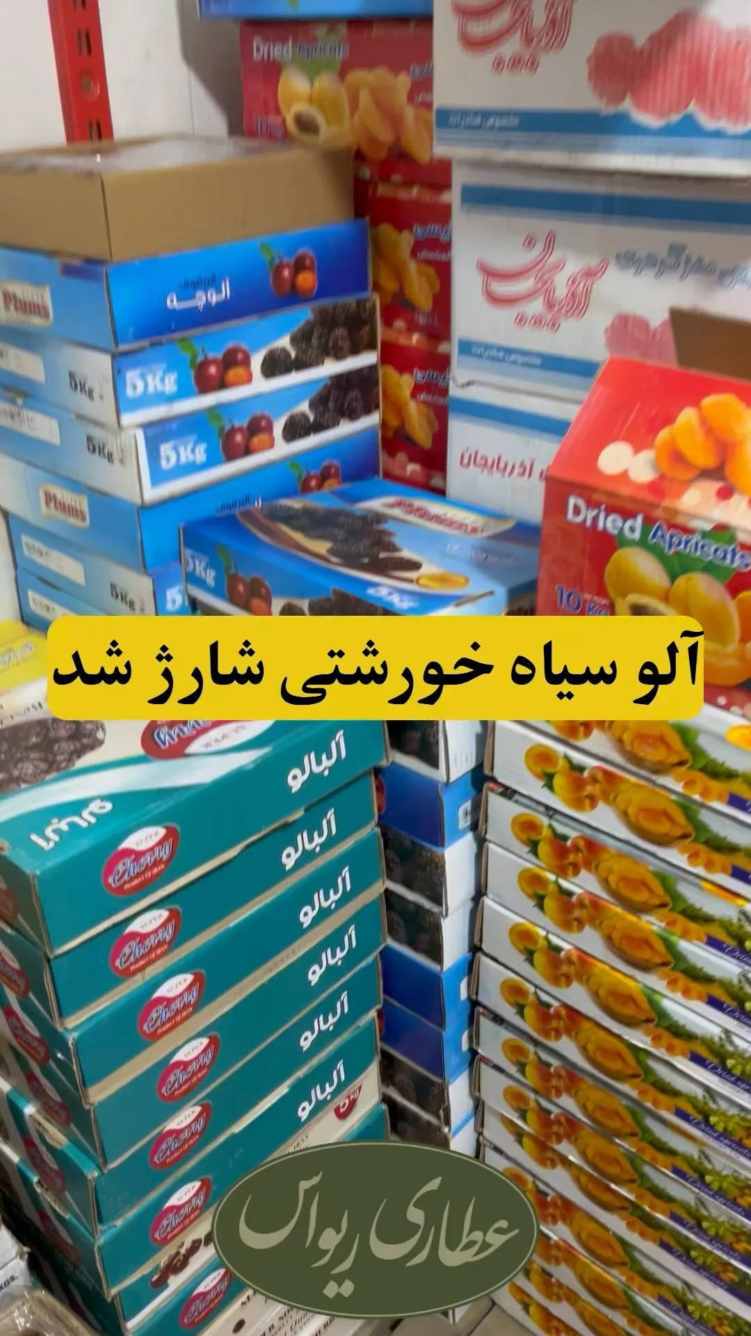 آلوی خورشتی سیاه