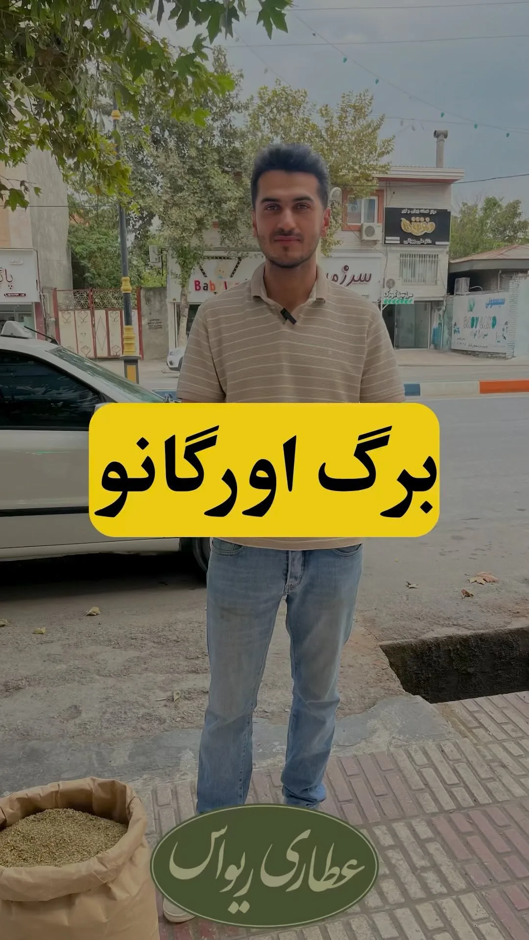 برگ اورگانو ترکیه، رنگ سبز و سبز زیتونی، برگ خشک