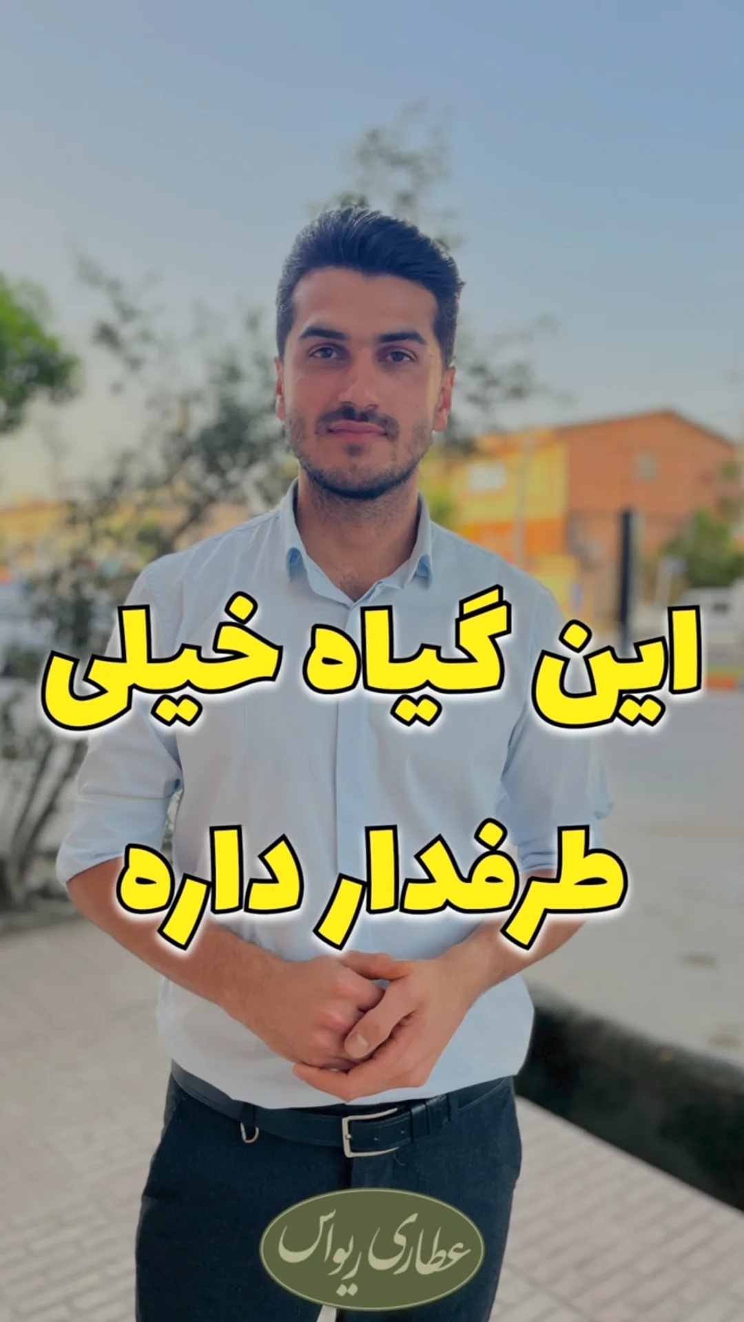 بارهنگ سورتشده