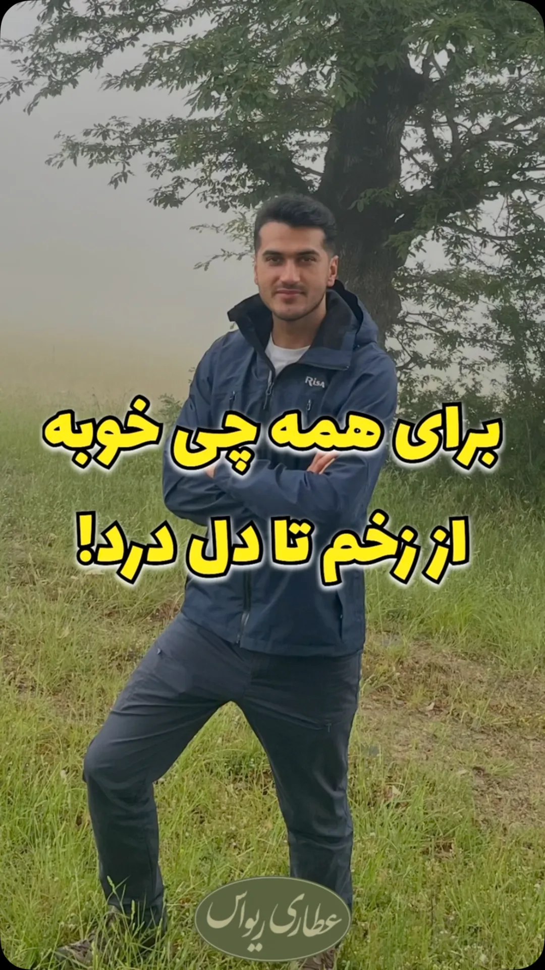 بومادران
