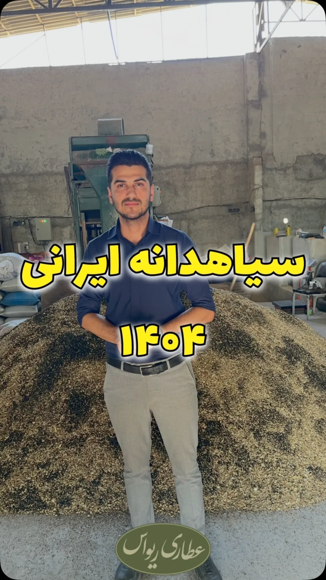 سیاهدانه ایرانی، دانه ریز
