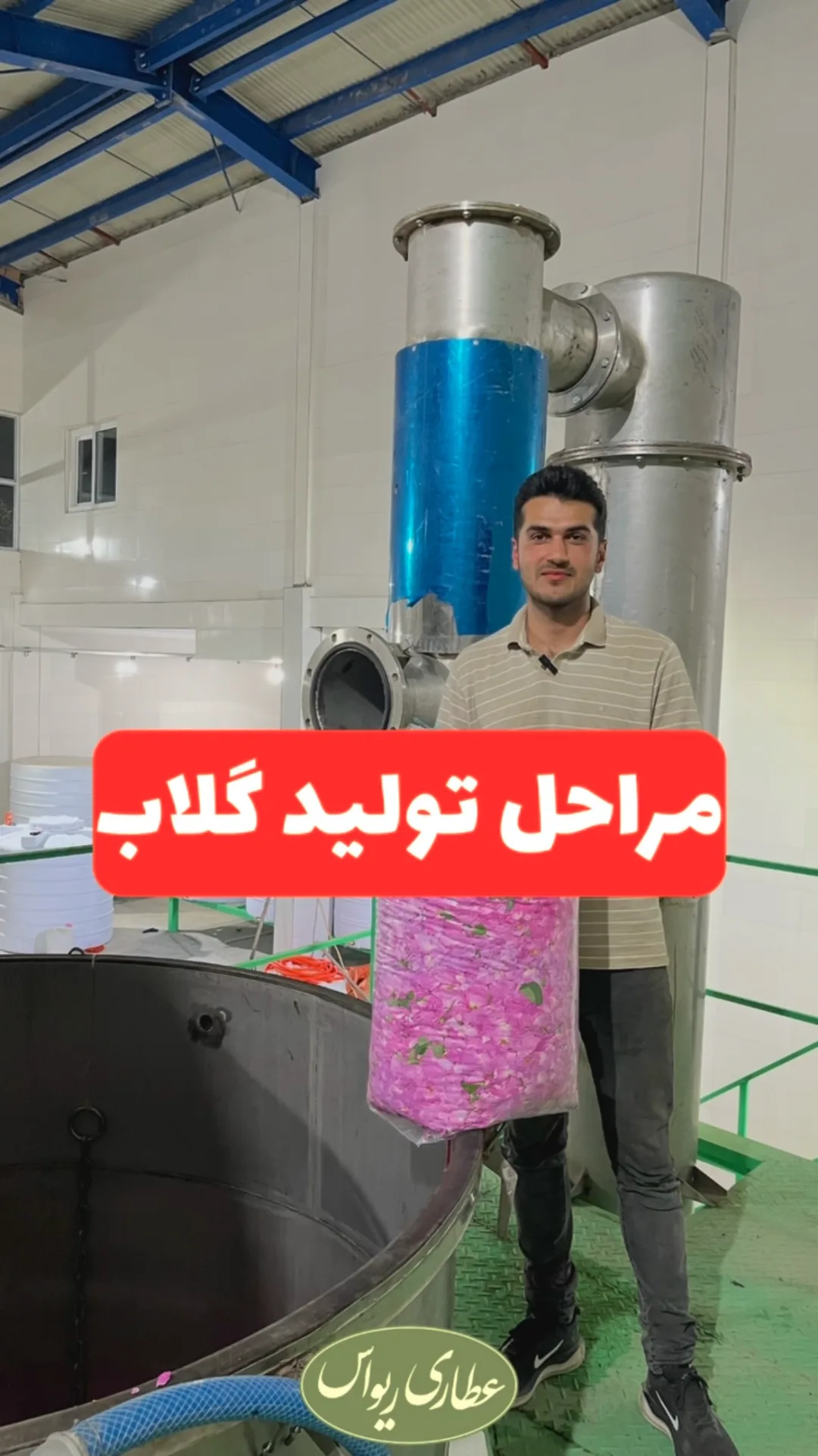 گلاب درجه یک، رنگ صورتی، مایع