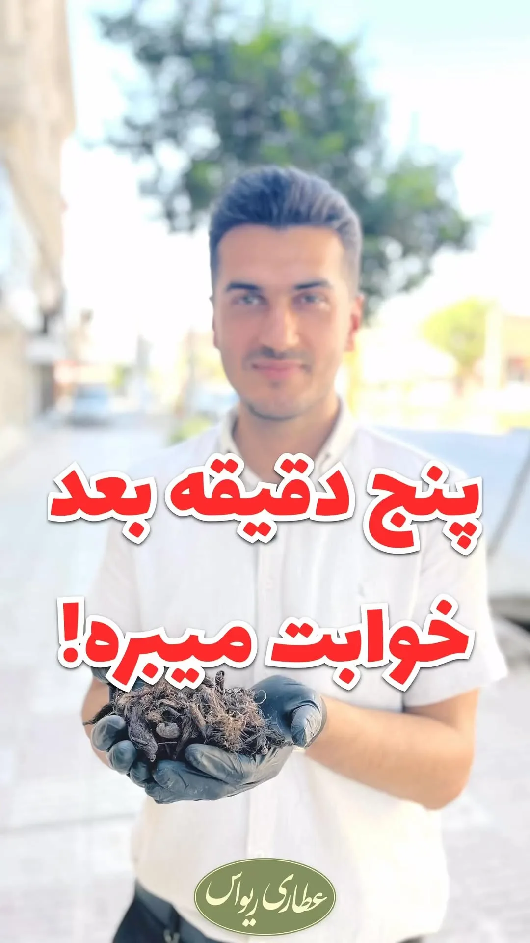 سنبلالطیب