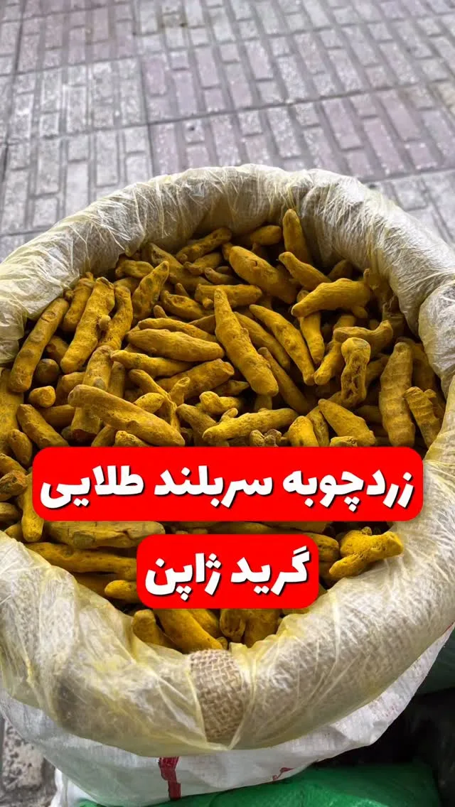 زردچوبه سربلند طلایی راجاپوری