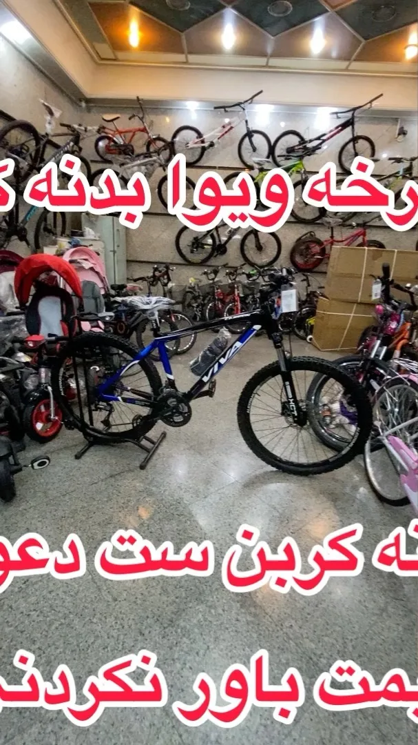 دوچرخه ویوا کربن