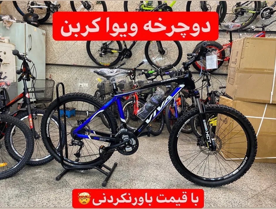 دوچرخه ویوا کربن