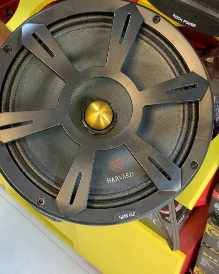 میدرنج ۱۰ اینچ هاروارد HM-1000A