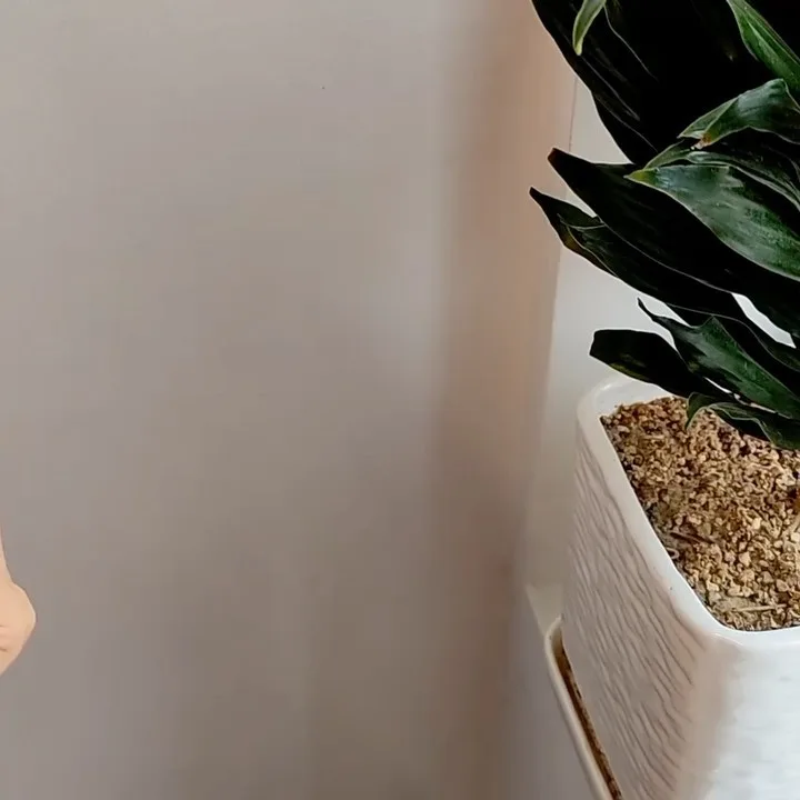 گارد گوشی طرح ال‌وی
