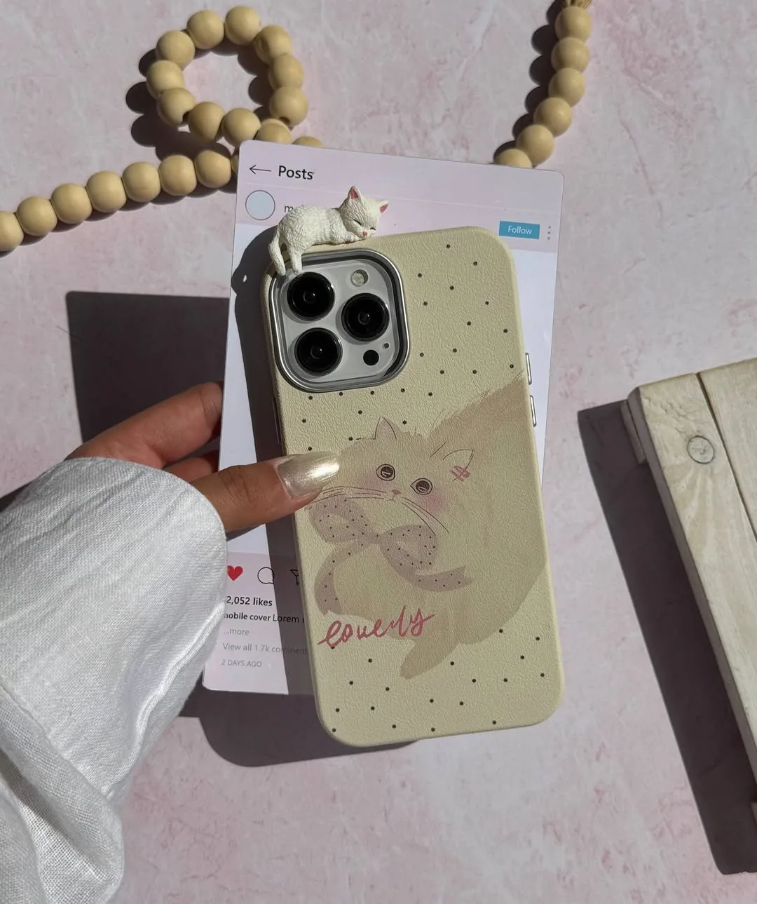 قاب گربه پرشین — عکس ۱۴
