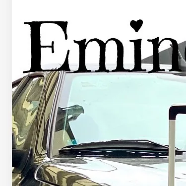 چمدان Eminent