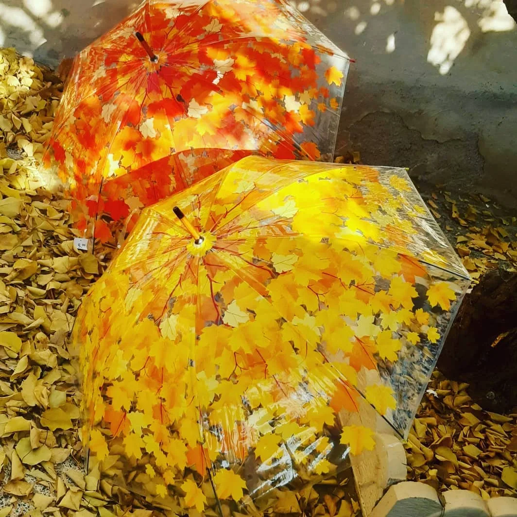 چتر زنانه طرح برگ دسته چوبی