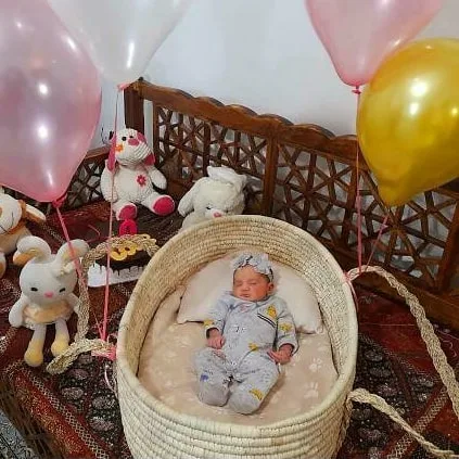 کری کات نوزاد دل کیدز، رنگ کرم، سفید و خاکستری، جنس حصیری و چوب، پایه‌دار با سرسره