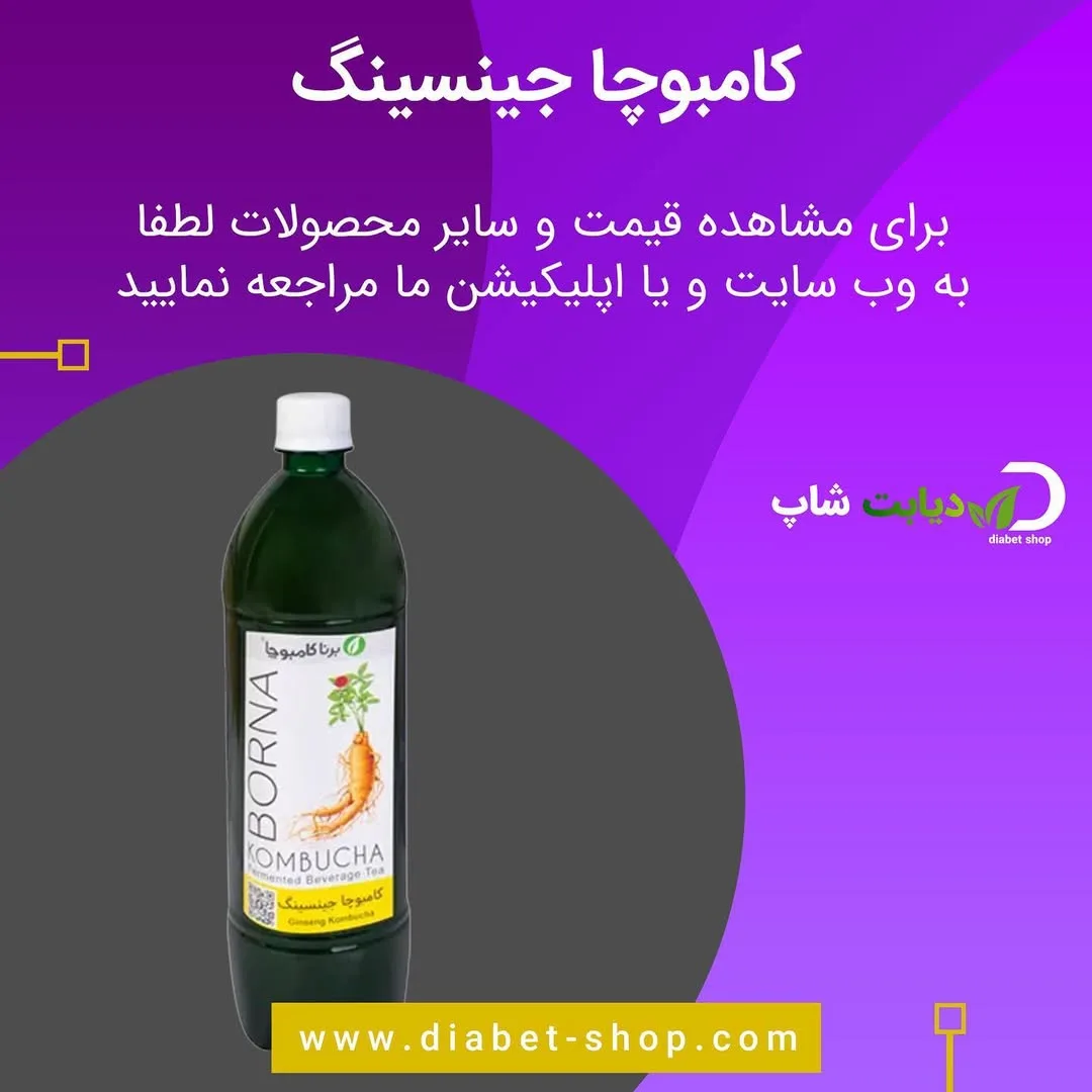 کامبوچا جینسینگ برنا کامبوچا، رنگ سبز تیره، جنس پلاستیک، بطری