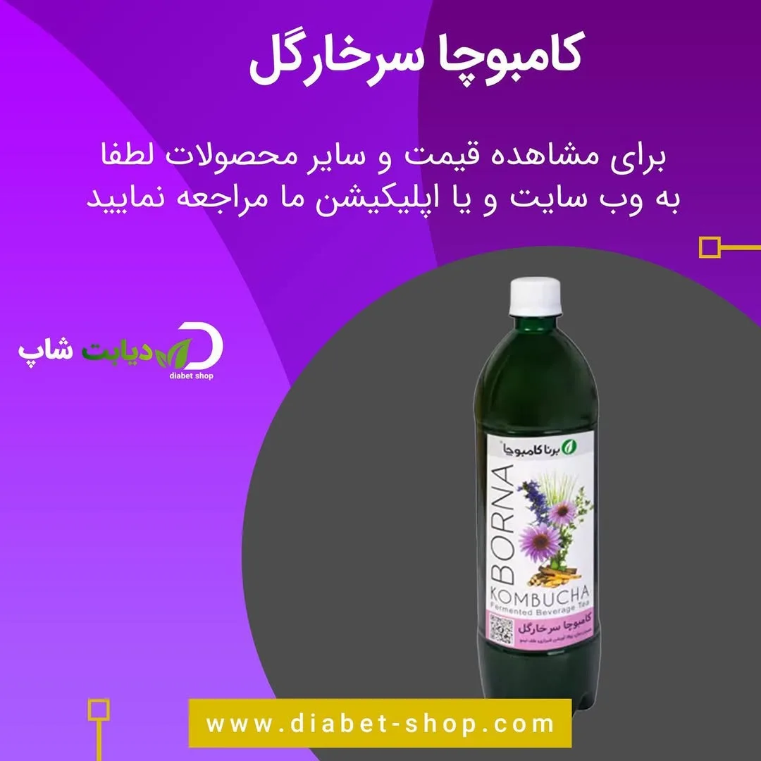 کامبوچا سرخارگل برنا کامبوچا، رنگ سبز تیره، جنس پلاستیک، بطری